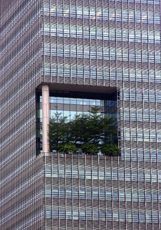 Azja-Filipiny-Borneo-Singapur-2011 (9) W