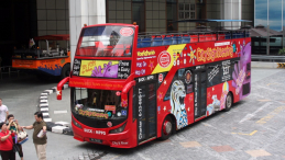 Azja-Filipiny-Borneo-Singapur-2011 (11) W