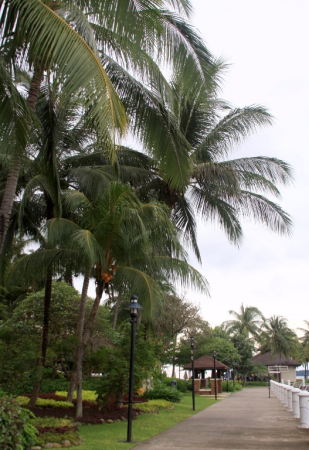 Azja-Filipiny-Borneo-Singapur-2011 (11) W