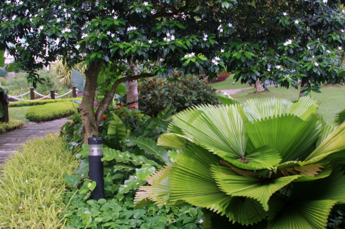 Azja-Filipiny-Borneo-Singapur-2011 (11) W