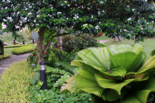 Azja-Filipiny-Borneo-Singapur-2011 (11) W