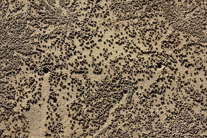 Azja-Filipiny-Borneo-Singapur-2011 (11) W