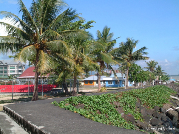 Oceania-Samoa-2011 W
