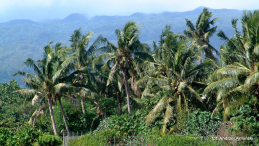 Oceania-Samoa-2011 W