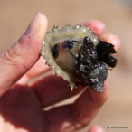 Ameryka Południowa-Brazylia-2011 W