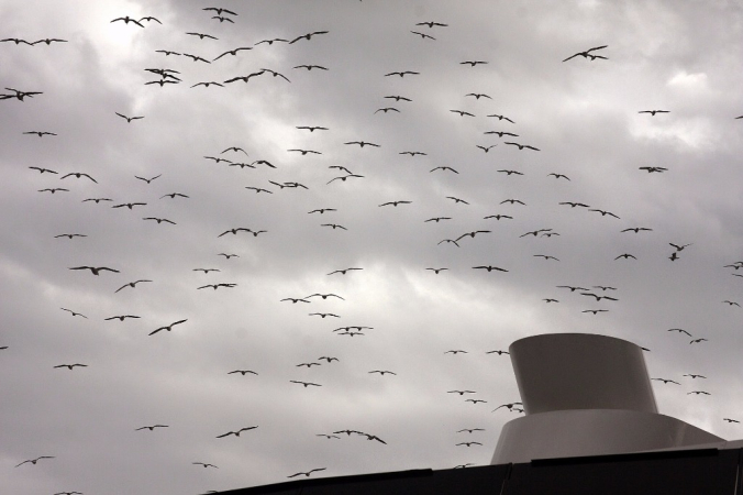 Europa-Hiszpania-Malaga-2015 W