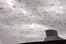 Europa-Hiszpania-Malaga-2015 W