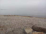 Europa-Niemcy-Friedrichshafen-2016 W