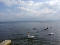 Europa-Niemcy-Friedrichshafen-2016 W