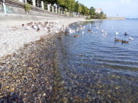 Europa-Niemcy-Friedrichshafen-2016 W