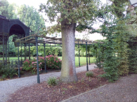 Europa-Niemcy-Friedrichshafen-2016 W