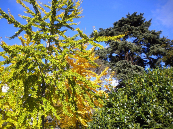 Europa-Hiszpania-Madryt-2013 W