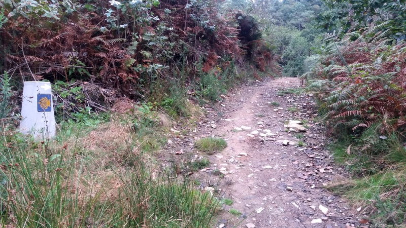 Europa-Hiszpania-Asturia i Galicja-2017 W