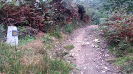 Europa-Hiszpania-Asturia i Galicja-2017 W