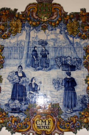 Ocean Atlantycki-Portugalia-Madera-Funchal-2014 W