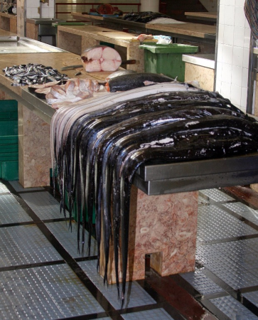 Ocean Atlantycki-Portugalia-Madera-Funchal-2014 W