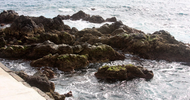 Ocean Atlantycki-Portugalia-Madera-Funchal-2014 W