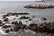 Ocean Atlantycki-Portugalia-Madera-Funchal-2014 W