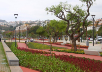 Ocean Atlantycki-Portugalia-Madera-Funchal-2014 (2) W