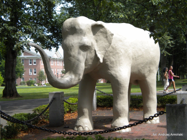 Ameryka Północna-Stany Zjednoczone-Boston-2012 W