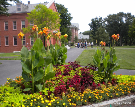 Ameryka Północna-Stany Zjednoczone-Boston-2012 W