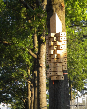 Ameryka Północna-Stany Zjednoczone-Boston-2012 W