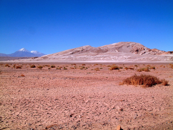 Ameryka Południowa-Chile-Atacama-2014 W