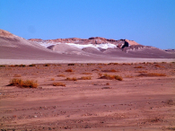 Ameryka Południowa-Chile-Atacama-2014 W