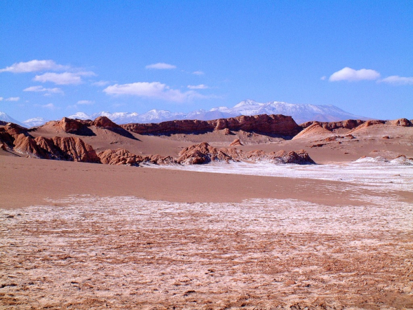 Ameryka Południowa-Chile-Atacama-2014 W