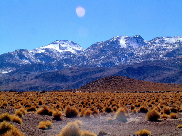 Ameryka Południowa-Chile-Atacama-2014 (2) W