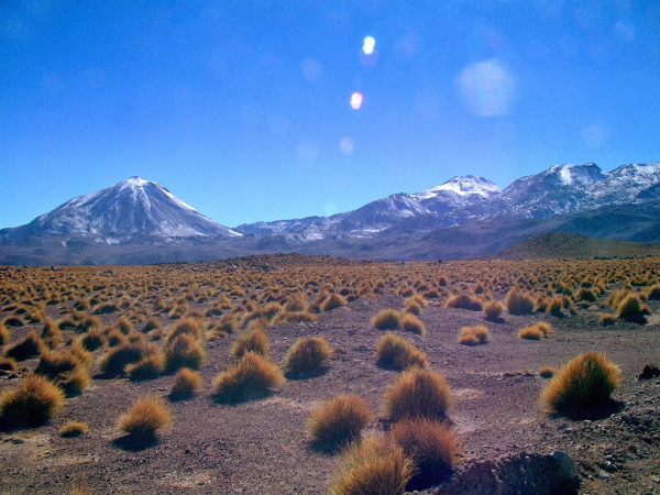 Ameryka Południowa-Chile-Atacama-2014 (2) W