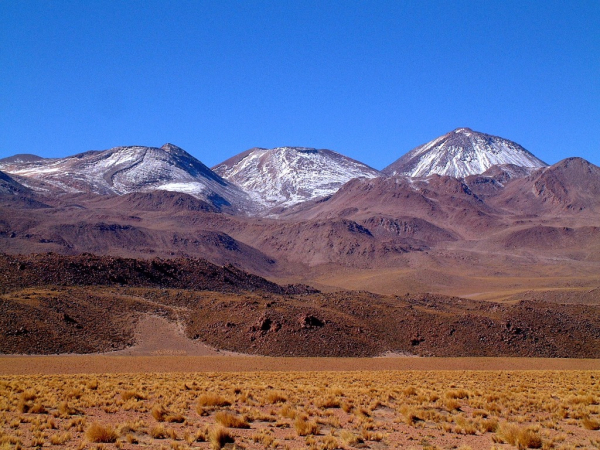 Ameryka Południowa-Chile-Atacama-2014 (2) W