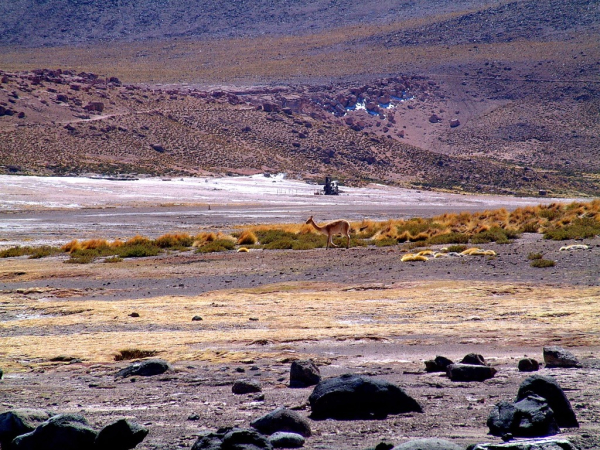 Ameryka Południowa-Chile-Atacama-2014 (2) W