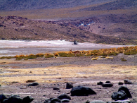 Ameryka Południowa-Chile-Atacama-2014 (2) W