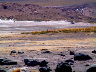 Ameryka Południowa-Chile-Atacama-2014 (2) W
