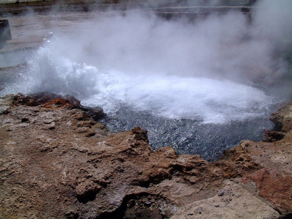 Ameryka Południowa-Chile-Atacama-2014 (2) W