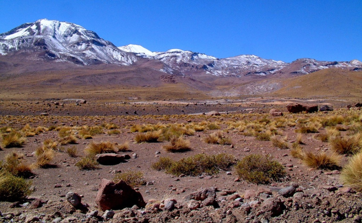 Ameryka Południowa-Chile-Atacama-2014 (2) W