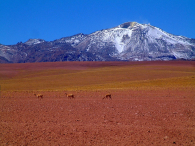 Ameryka Południowa-Chile-Atacama-2014 (2) W