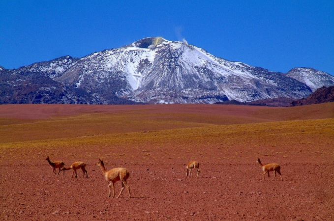Ameryka Południowa-Chile-Atacama-2014 (2) W