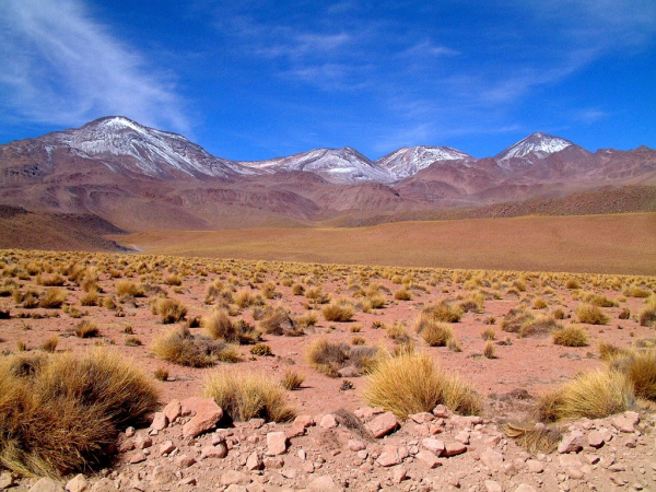 Ameryka Południowa-Chile-Atacama-2014 (2) W