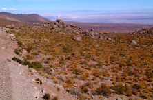 Ameryka Południowa-Chile-Atacama-2014 (2) W