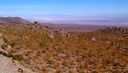 Ameryka Południowa-Chile-Atacama-2014 (2) W