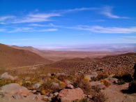 Ameryka Południowa-Chile-Atacama-2014 (3) W