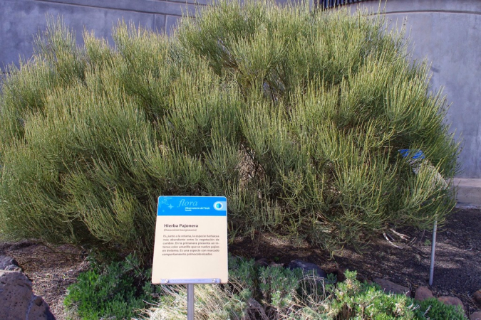 Ocean Atlantycki-Hiszpania-Santa Cruz de Tenerife-Observatorio del Teide-2014 W