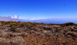 Ocean Atlantycki-Hiszpania-Santa Cruz de Tenerife-Observatorio del Teide-2014 (2) W