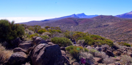 Ocean Atlantycki-Hiszpania-Santa Cruz de Tenerife-Observatorio del Teide-2014 (3) W