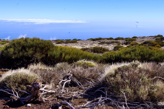 Ocean Atlantycki-Hiszpania-Santa Cruz de Tenerife-Observatorio del Teide-2014 (5) W