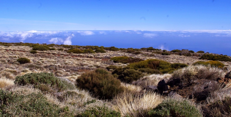 Ocean Atlantycki-Hiszpania-Santa Cruz de Tenerife-Observatorio del Teide-2014 (5) W
