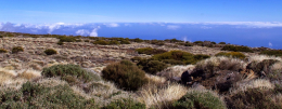 Ocean Atlantycki-Hiszpania-Santa Cruz de Tenerife-Observatorio del Teide-2014 (5) W