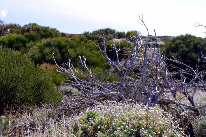 Ocean Atlantycki-Hiszpania-Santa Cruz de Tenerife-Observatorio del Teide-2014 (5) W